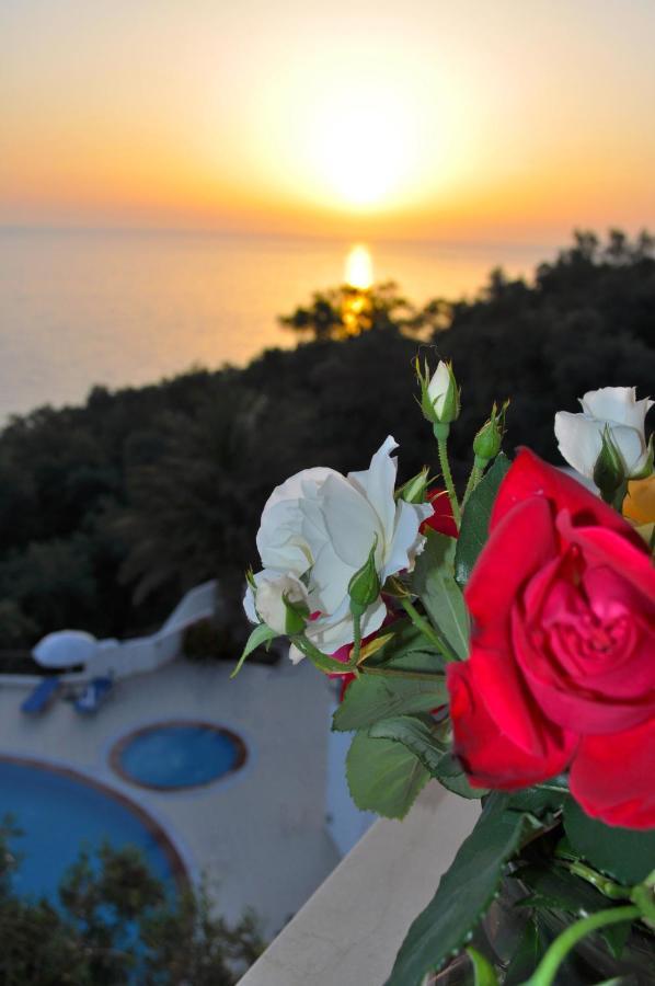 Beautiful Holiday Apartments Maria With Amazing Pool - Agios Gordios Beach Agios Gordios (Corfu) Exterior foto